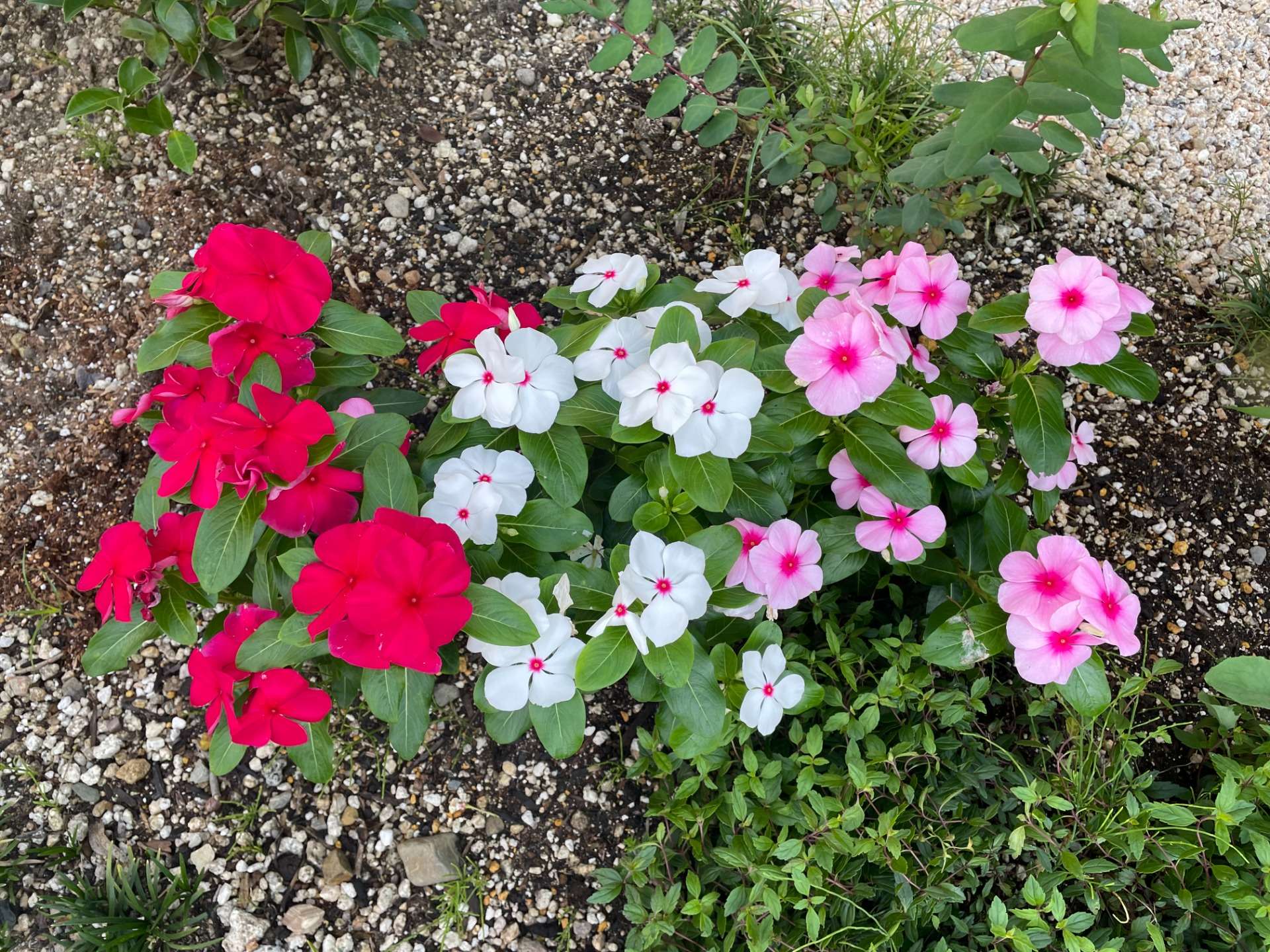 リスクと副作用