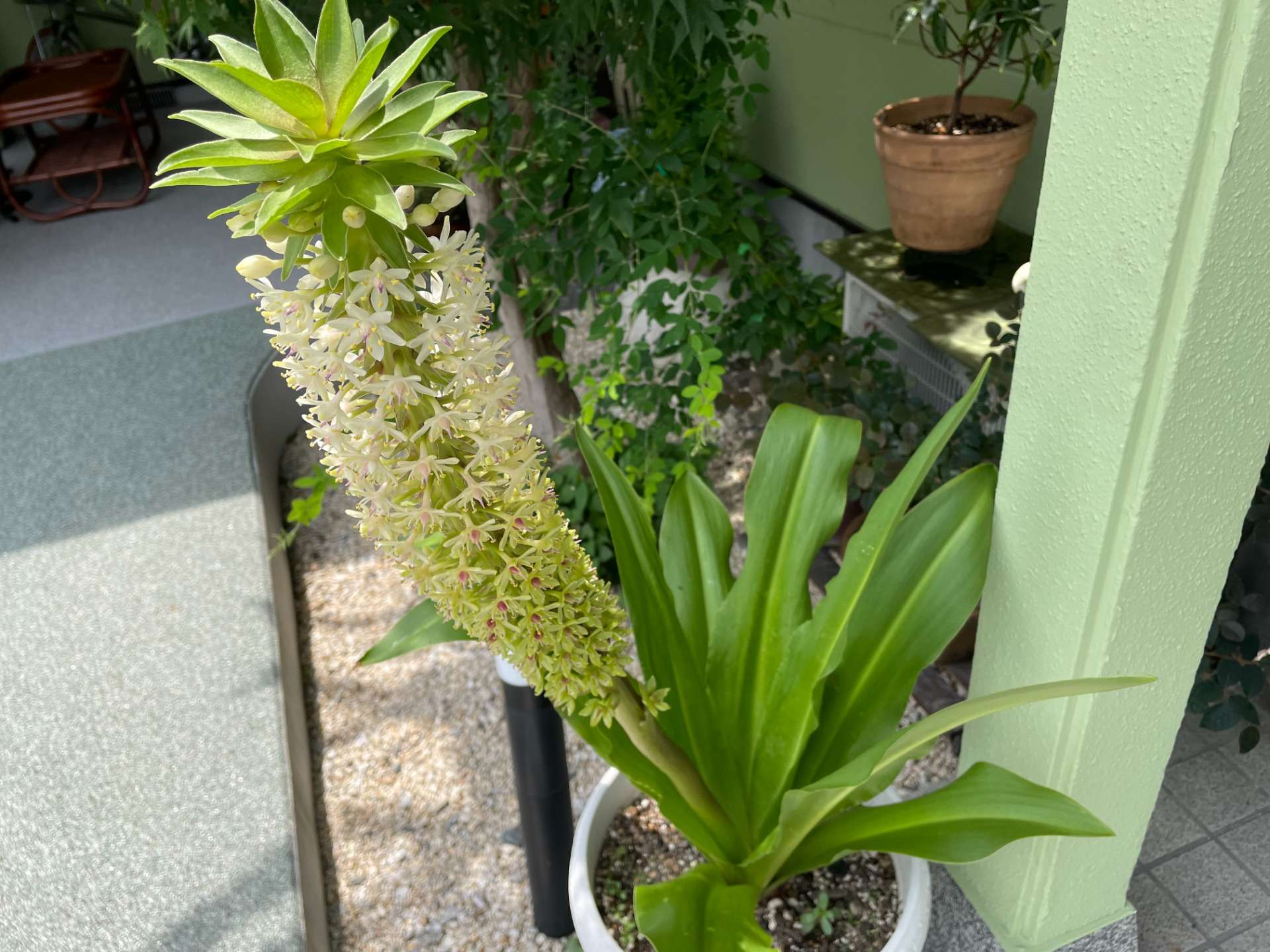 レチノール熱傷を治療する最良の方法は何ですか?