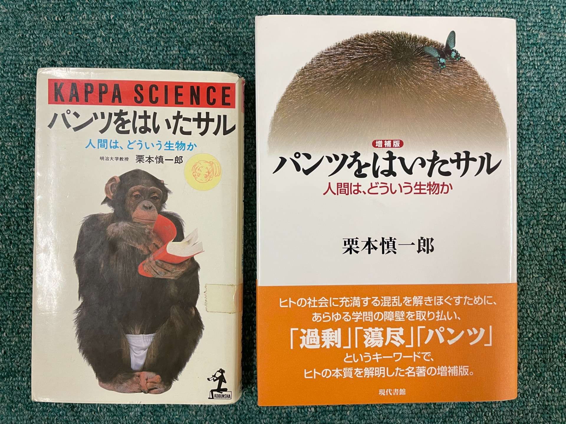 「統合する」ということ（その１）栗本慎一郎『パンツをはいたサル』