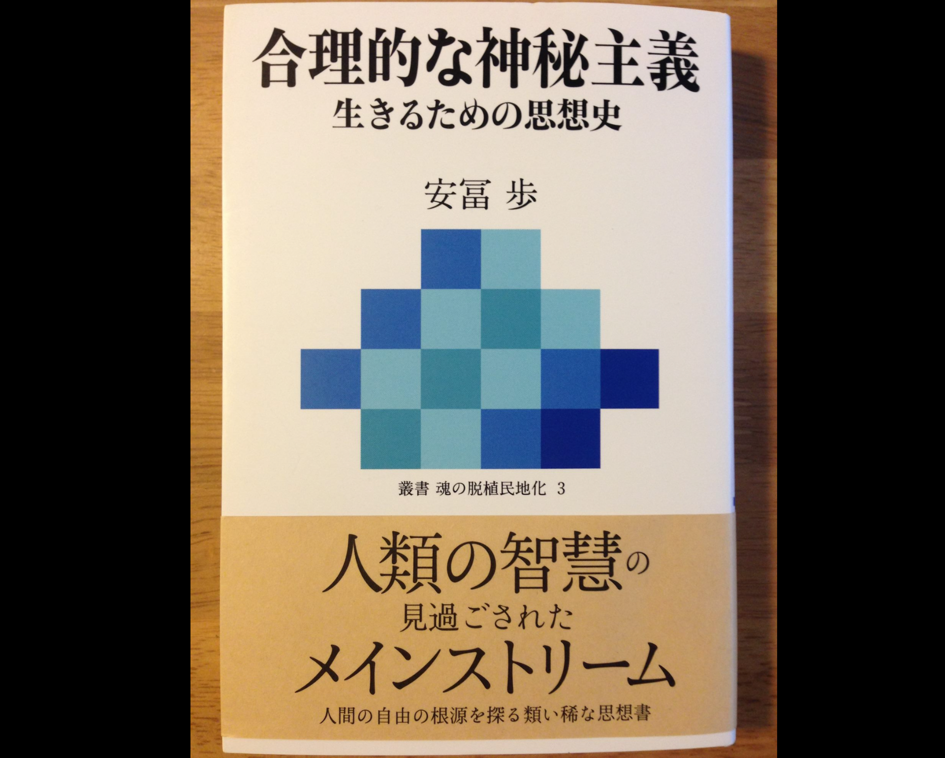 「統合する」ということ（その３）安冨歩『合理的な神秘主義』