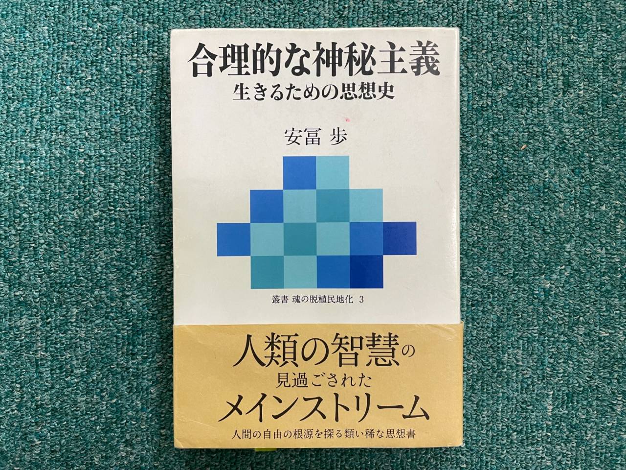 「統合する」ということ（その３）安冨歩『合理的な神秘主義』