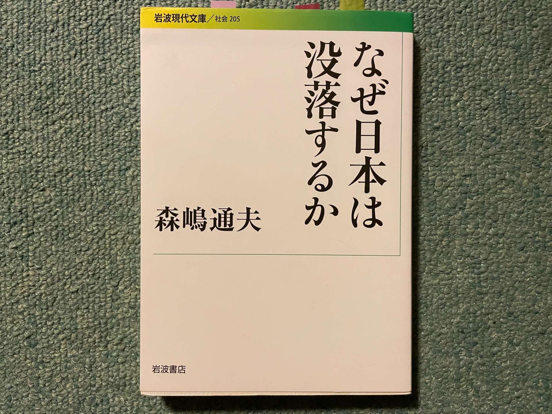 「統合する」ということ（その５）森嶋通夫『なぜ日本は没落するか』