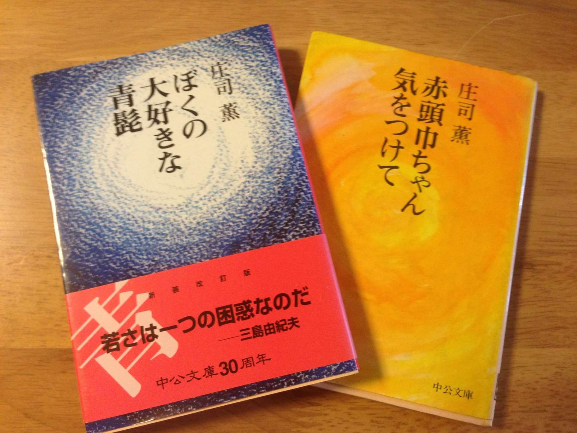 若々しさのまっただ中で犬死にしない方法序説（庄司薫『狼なんかこわくない』その２）