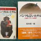 「統合する」ということ（その２）栗本慎一郎『パンツをはいたサル』②